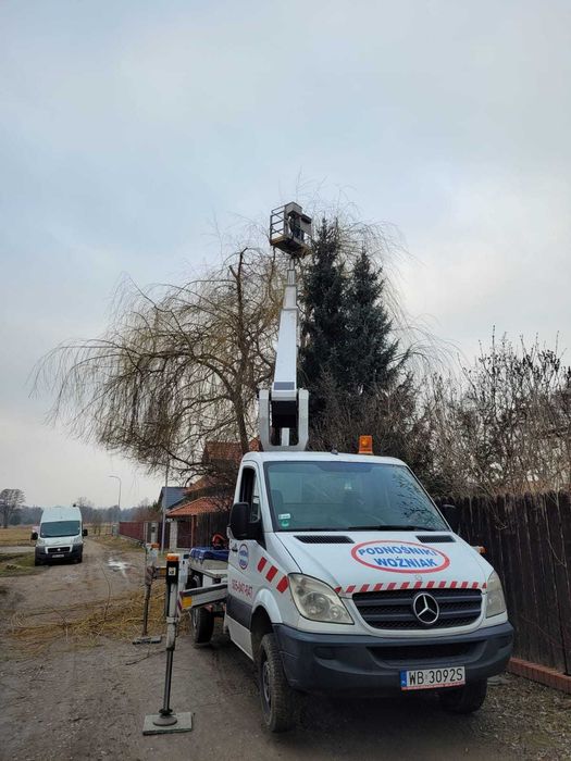 Profesjonalna wycinka drzew