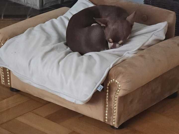 Legowisko sofa kanapa glamour dla psa kota 100 kolorów