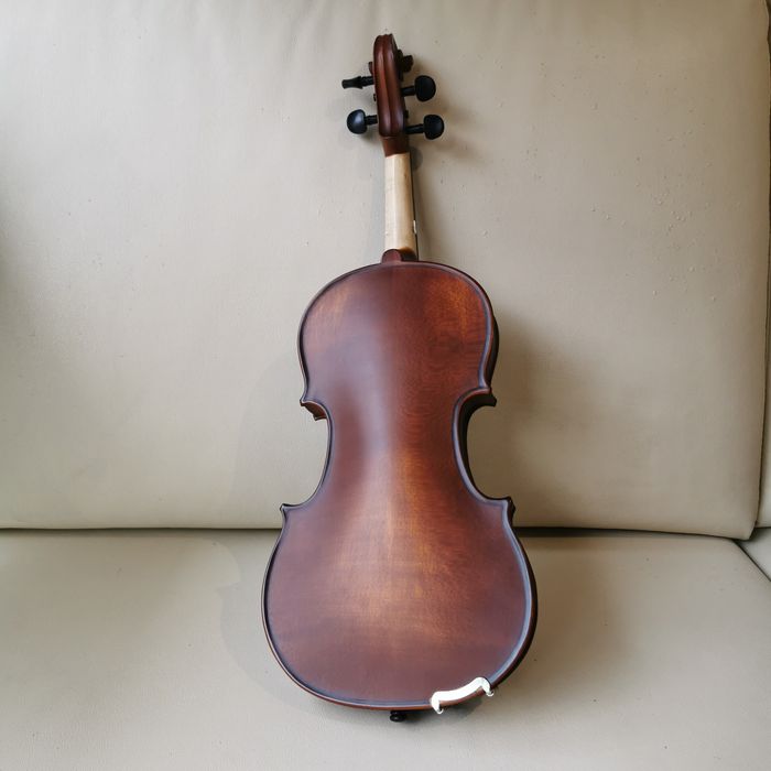 Violino startonex
