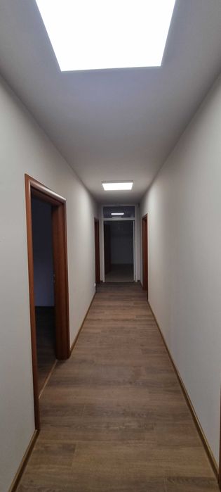 Zdjęcie 5