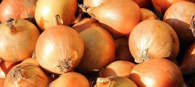 Sprzedam cebule 25kg za 25zł