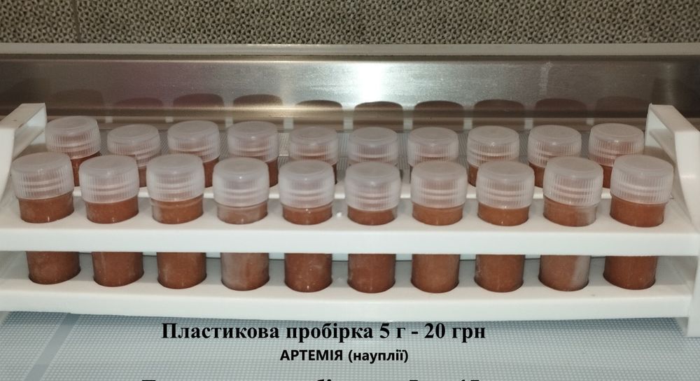 Артемія заморожена/Інкубатор для виведення артемії