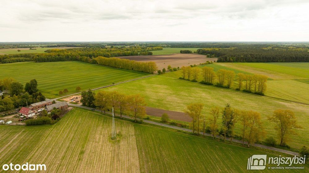 Dąbrowa Nowogardzka-działki z warunkami zabudowy
