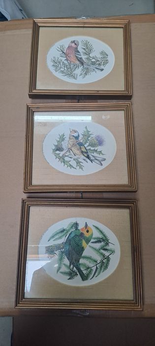 Quadros Songbirds of the World