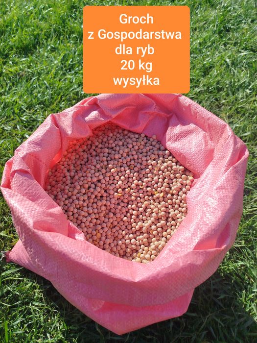 Groch dla ryb gołebi karma dla zwierząt 20 KG wysyłka
