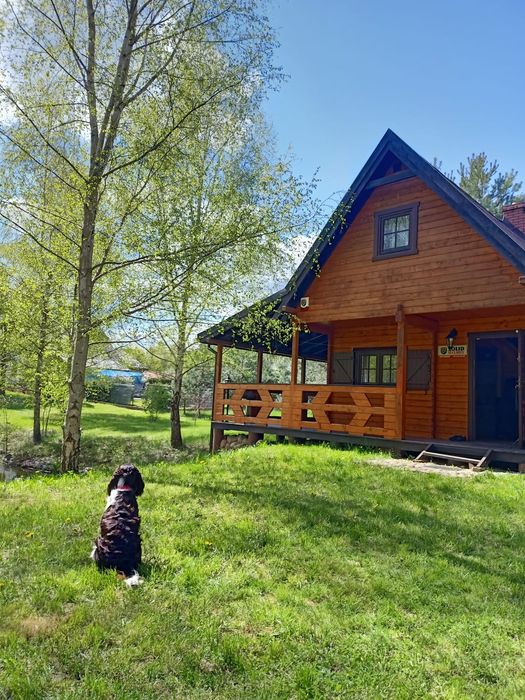 Przytulny domek letniskowy na Mazurach w lesie nad jeziorem Wałpusz