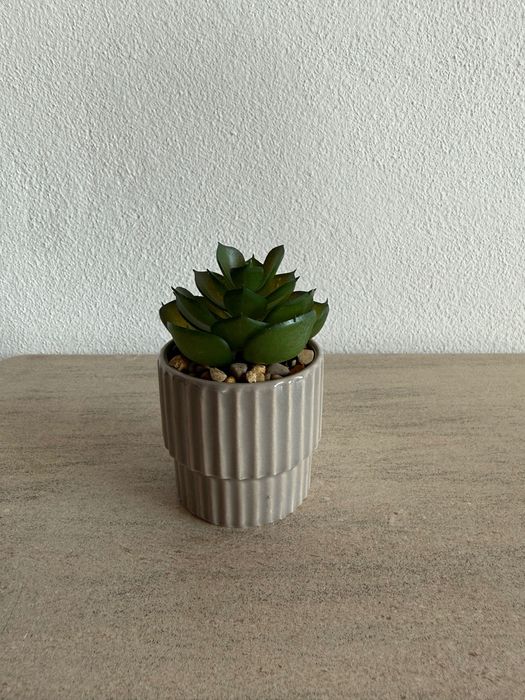 Suculenta artificial em vaso