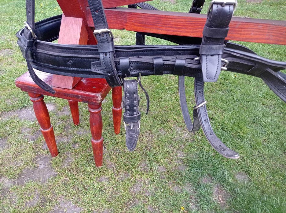 Uprząż szory dla konia hucuł małopolski