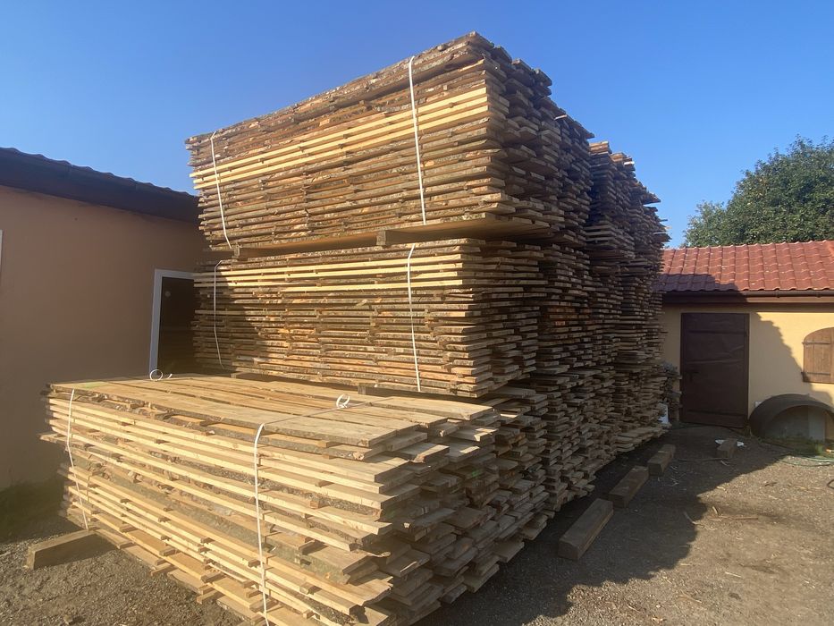 Tarcia Dąb Buk Olcha Brzoza Modrzew