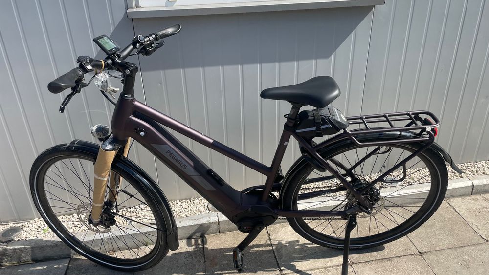 Rower elektryczny Pegasus
