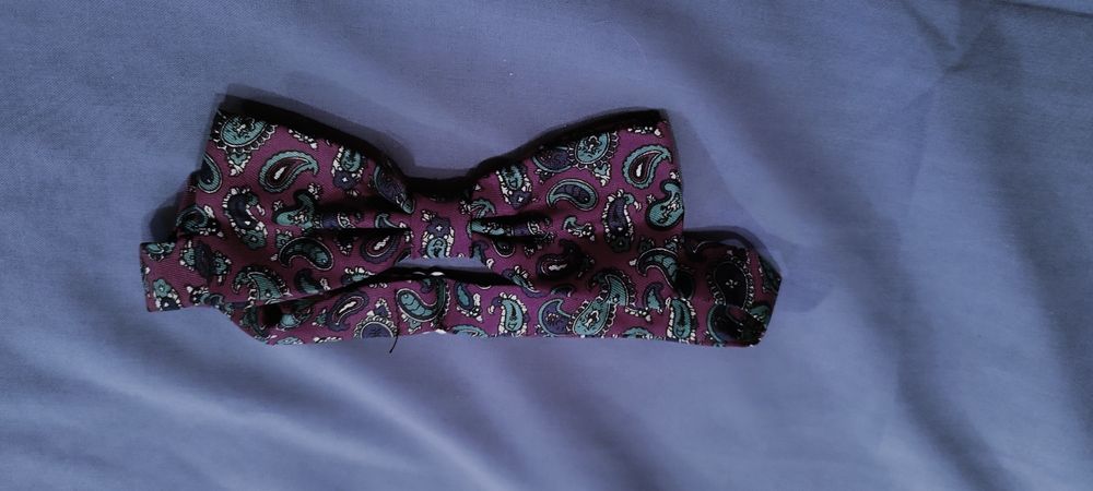 Elegancka muszka. Kolorowa
