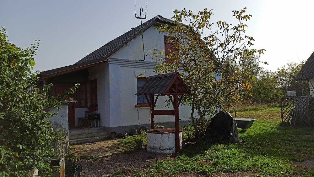 Будинок з великою ділянкою в с. Грозино Житомирська область.