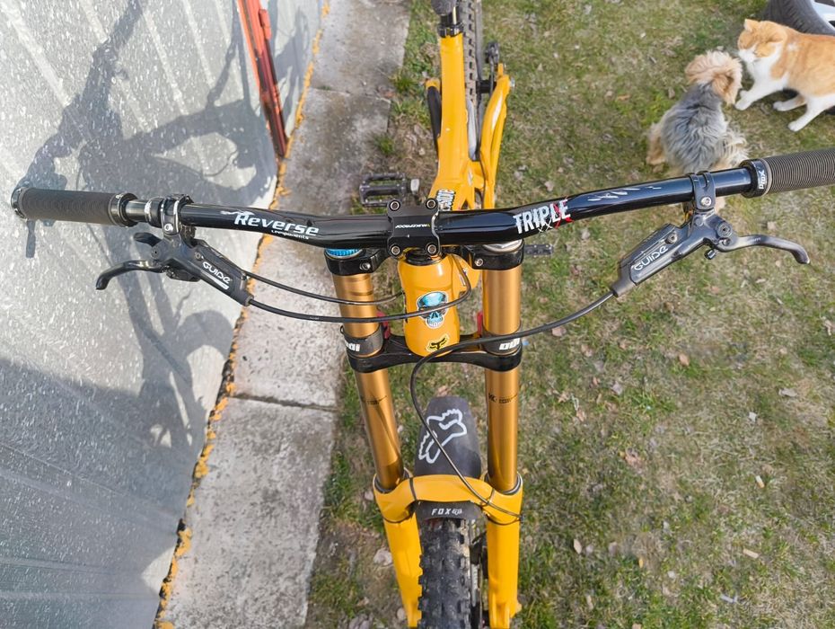 Devinci Wilson DH / Fox 40 Kashima / Shimano Saint / Hope / Downhill