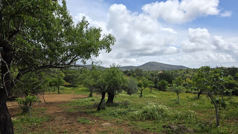 Terreno Rústico com Área Urbana – Estoi, Faro
Terreno rústico à venda
