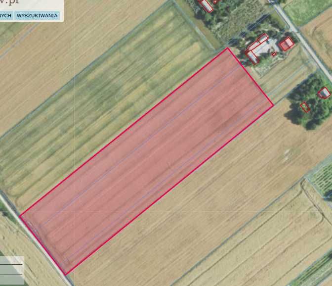 Działka rolna 2,90ha, Olszanka gm. Łopiennik