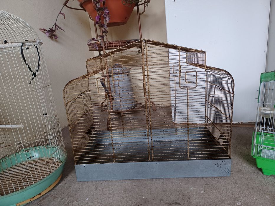 Gaiolas tamanhos diferentes 5€ cada