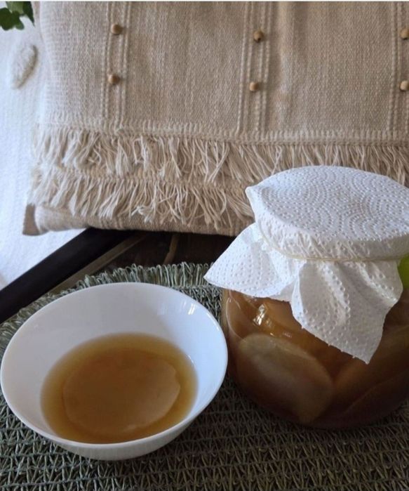 Grzybek herbaciany kombucha