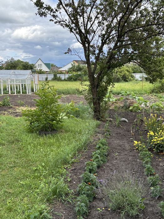 Будинок приватний