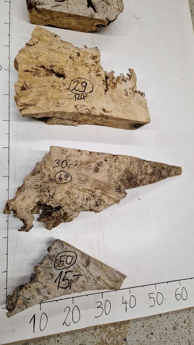 Nr42 Czeczota topoli plaster rzeźba 3D