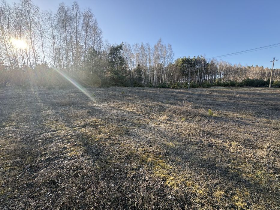 Działka z warunkami zabudowy 3000 m - Widok 3
