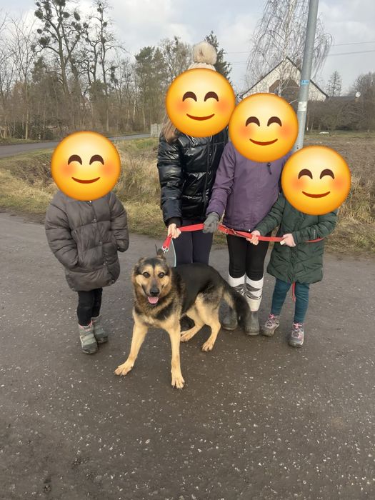 Atos, uwielbia ludzi i czeka na dom