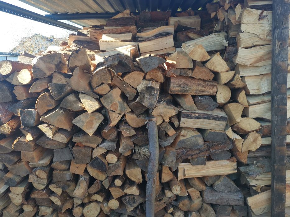 Drzewo sosnowe, świerkowe/ opał