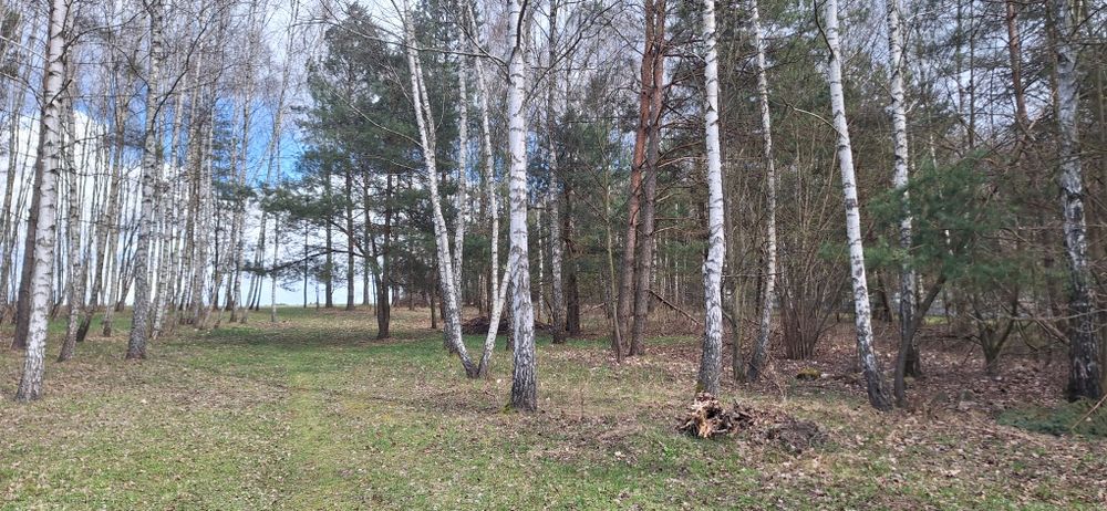 Sprzedam działkę Marcinków Górny