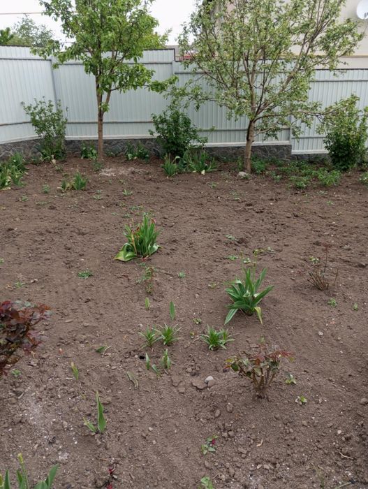 Продається квартира(частина будинку)смт.Кирнасівка,Вінницька область.