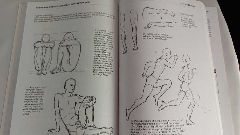 Podstawy rysunku profesjonalny kurs nie tylko dla amatorów  DELTA