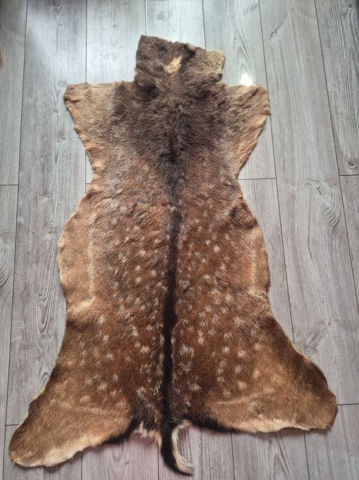 Sprzedam skórę z daniela