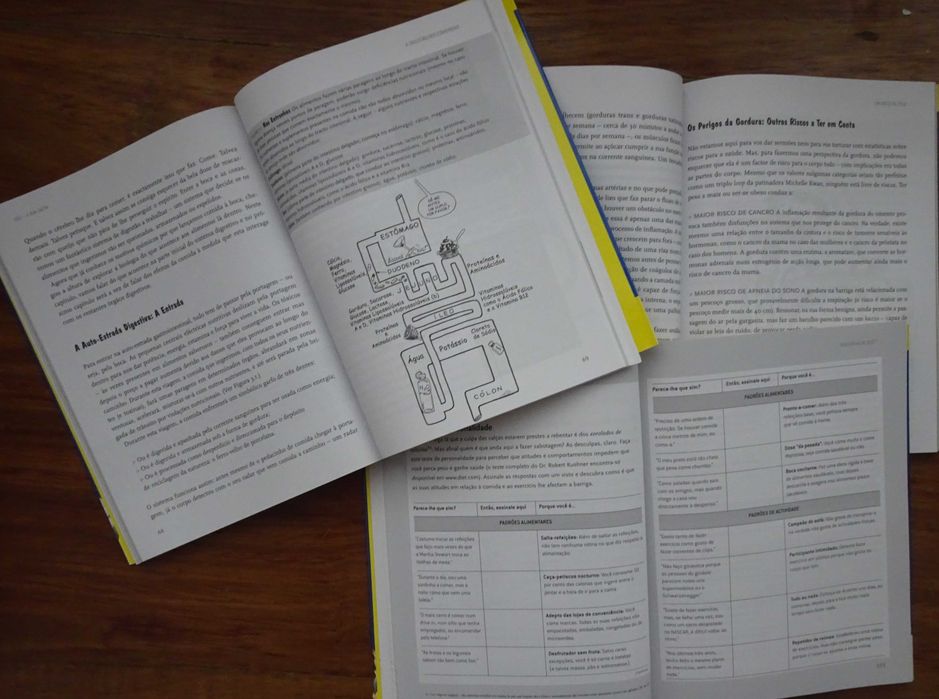 You A Sua Dieta - O Manual de Instruções Para Ter O Corpo Ideal