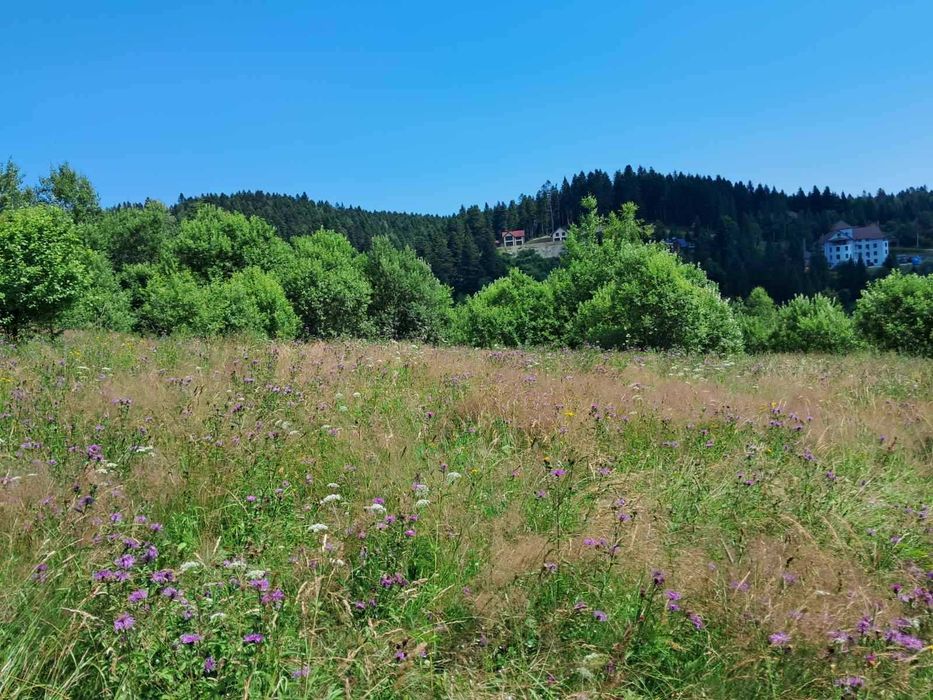 Продам земельну ділянку в Східниці