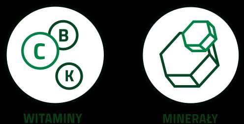 JĘCZMIEŃ BIO Green Ways - op. podróżne 125 g. (25 saszetek x 5 g.)
