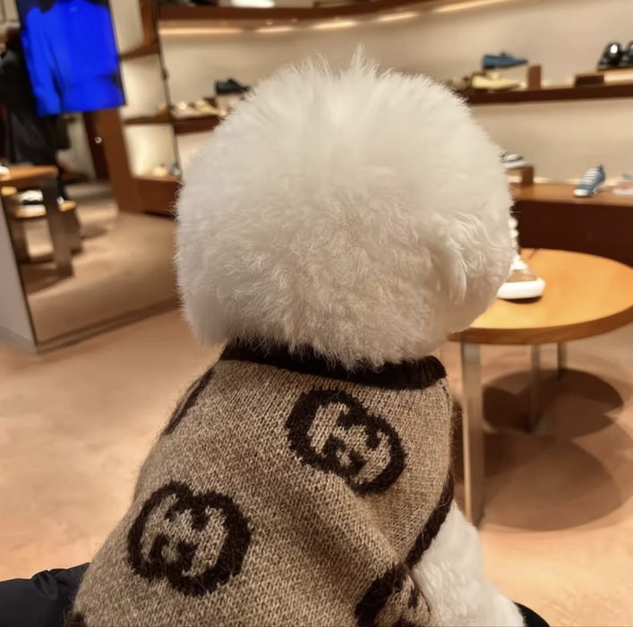 Одяг для собак / Усі розміри / Преміум-матеріали