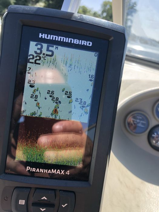 Bayliner 2050 LS para 8 pessoas com motor mercruiser 4.3L