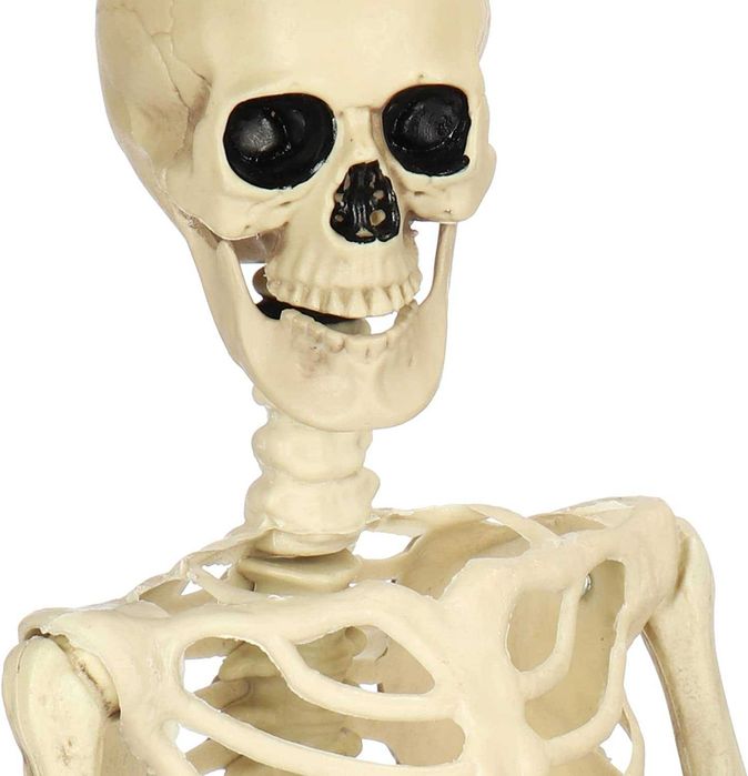 Halloween Skeleton, Decorative (90 cm)64752174850946122