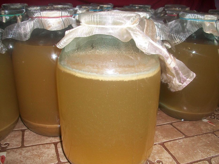 Яблучний та виноградний оцет