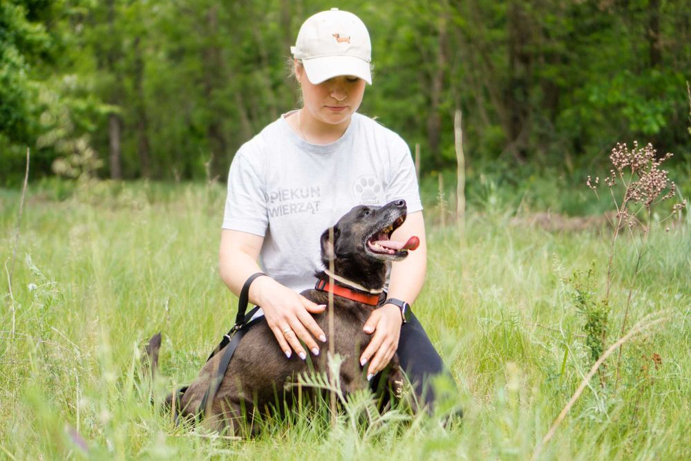 4 letni Bleki do adopcji!