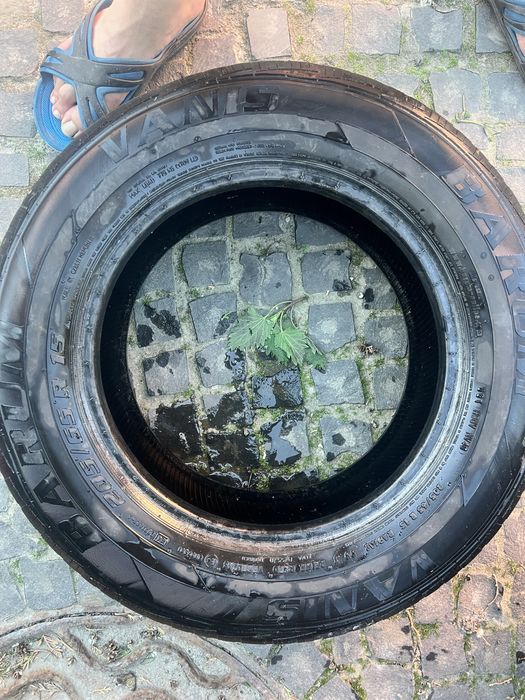 205 65 15 літо Pirelli Barum