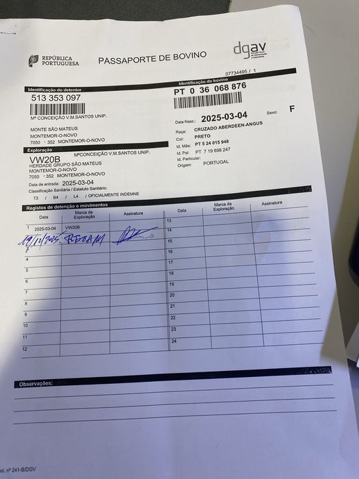 Vitelas Anguns para venda com rejisto