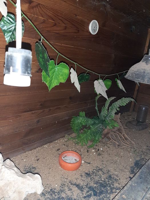 Terrario com cerca de 2m