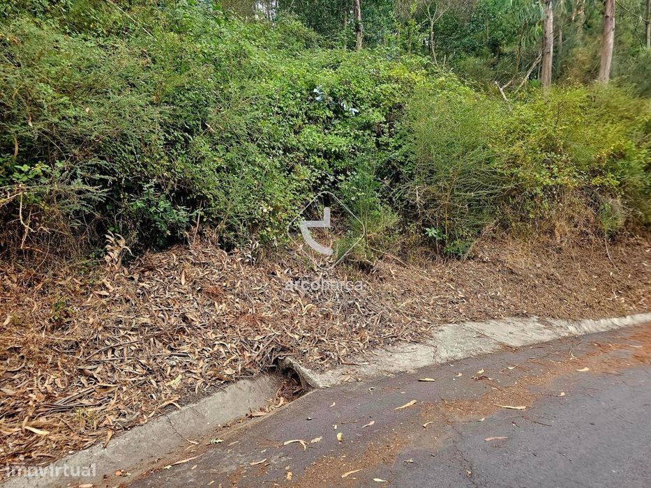 Terreno Florestal