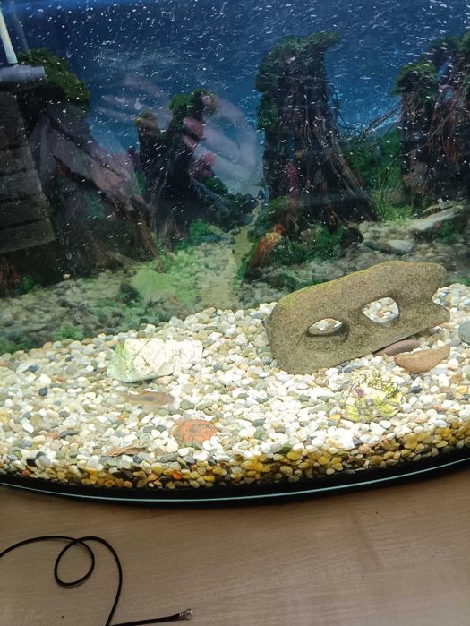 Аквариум 80литров за 200злотых