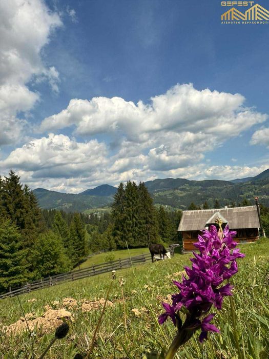 Верховина. 25,5сотих. Нерухомість. Земля. Карпати. Верховинський район