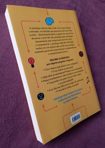 Psi-Q - Teste a sua Inteligência Psicológica - Ben Ambridge