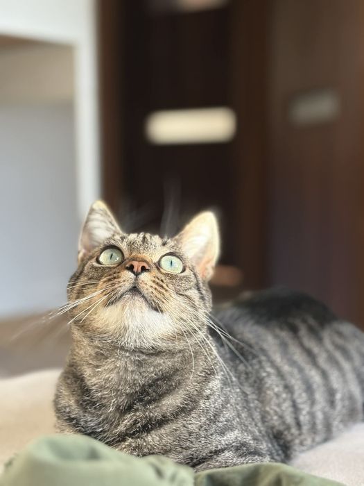 Mini Misia szuka swojego człowieka!