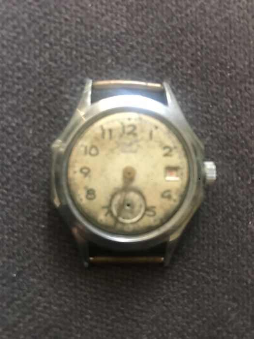 Zerek Rosysjki Czajka Męski