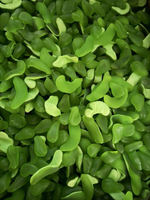 Шоколад бакалея некондиция сладости кофе монолит каллеты