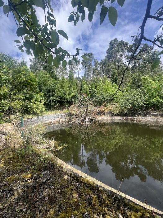Jardinagem e Limpeza de Terrenos - Aveiro e região