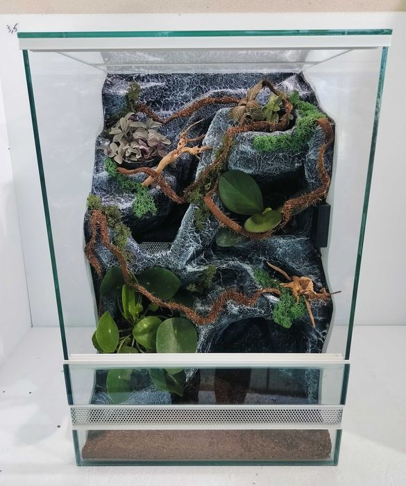 Terrarium AquaWaves pełnym wyposażeniem dla gekona orzęsionego TW08WS